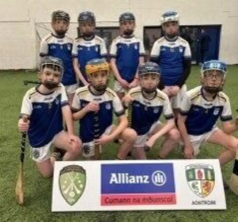 Hurling all county indoor
