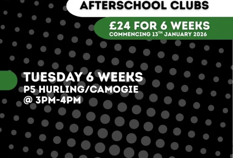 Hurling Camogie Coaching